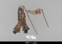 藏品(中國湖北皮影戲偶身)的圖片